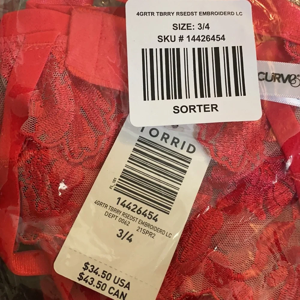 NWT TORRID Mesh Embroidered Garter Belt - Picture 6 of 8